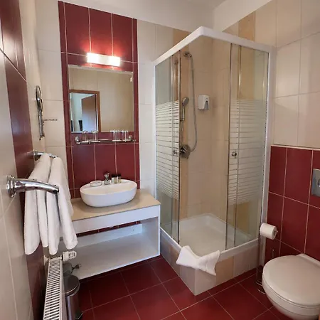 Viktoria Hotel 3*