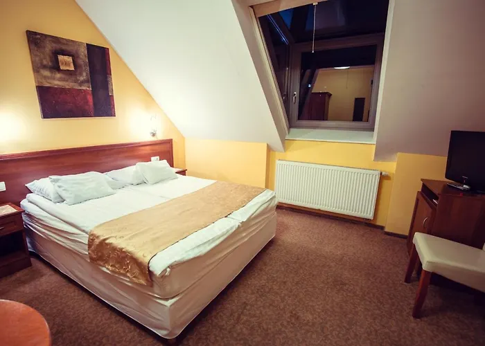 Otel Viktoria 3*
